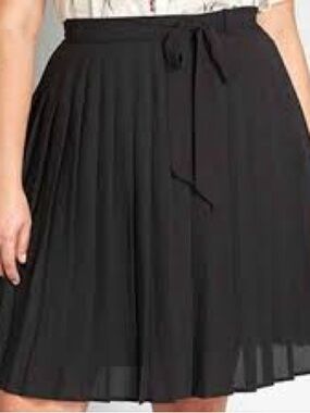 2X ModCloth Purely Pretty Chiffon A Line Skirt